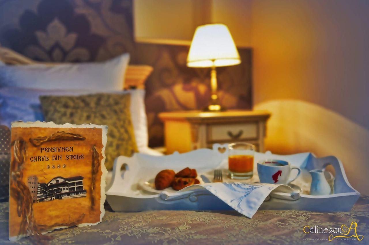 Hotel Carul Din Stele à Coţofenii din Faţă Extérieur photo